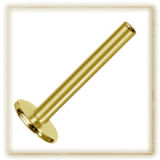 Labret Acier or