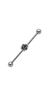 indr-06-1